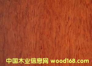 �o(w��)��������ľľƤ