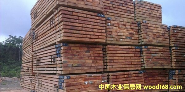 ���޼tõ��