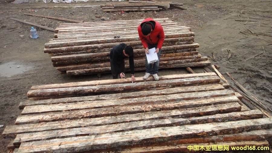 ��ԭľ��Ԕ��(x��)��B