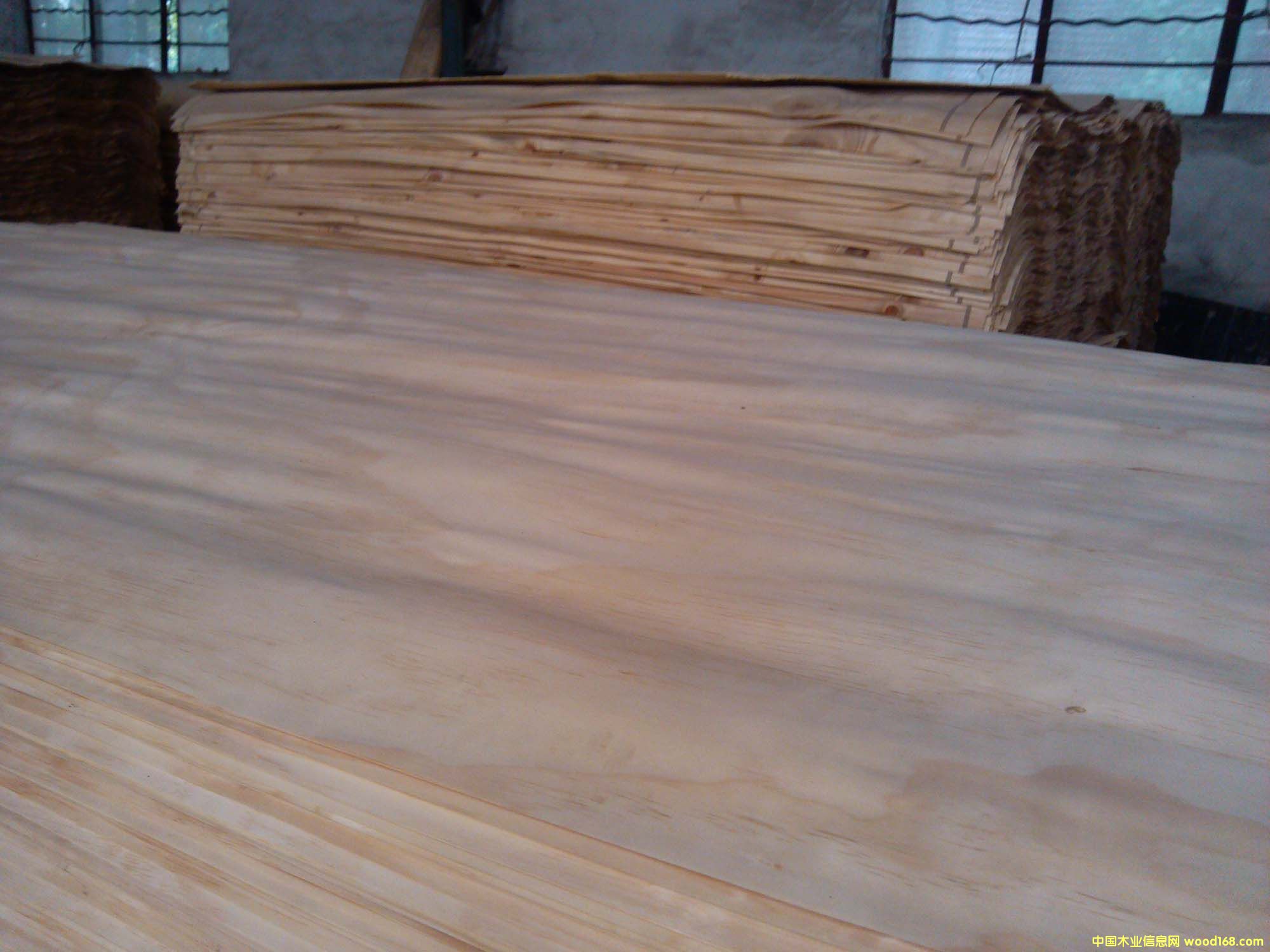 6��Ԕ��(x��)��B