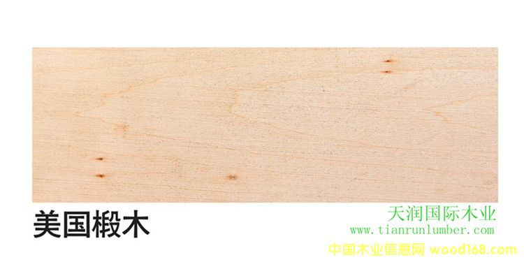 ����(gu��)�ľBasswood��Ԕ��(x��)��B