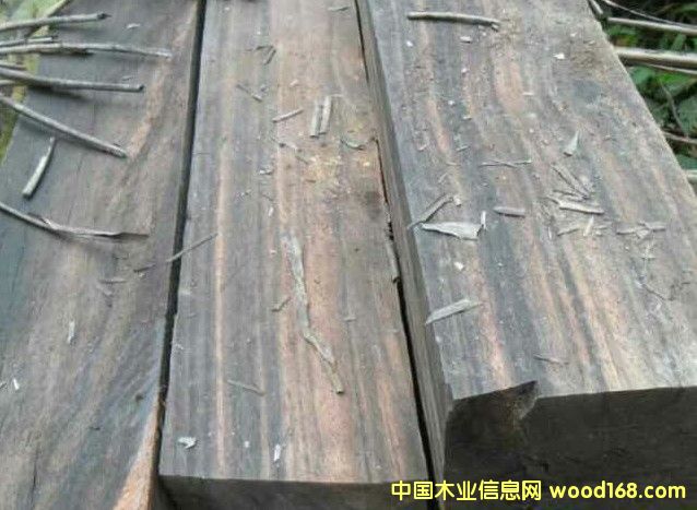 ��̴ľƤ�ĵ�Ԕ��(x��)��B