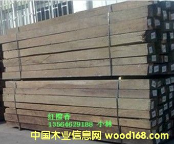 �炐�ȁ��t̴���Ԕ��(x��)��B