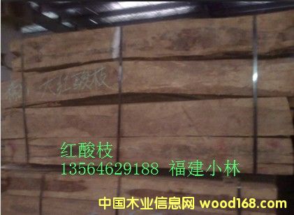 紅酸枝的詳細(xì)介紹