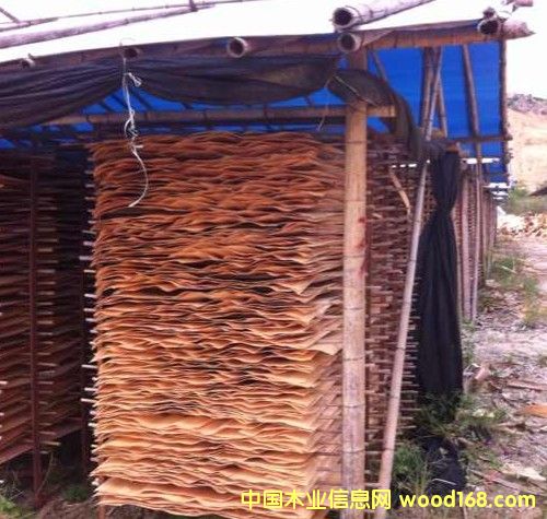 ݗ���Ɇΰ� ��� ��Ƥ