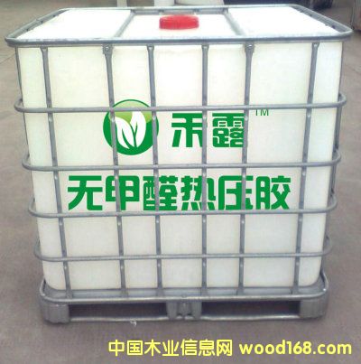 ��¶-ֲ��oȩ�z��Ԕ��(x��)��B