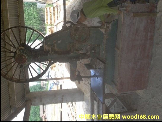 �c(di��n)���鿴��ľ������ľ�l�Ŵ�DƬ