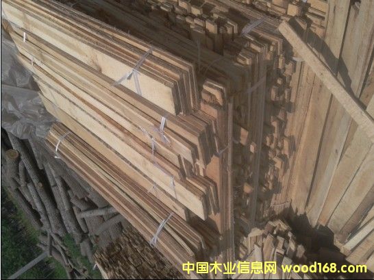 �c(di��n)���鿴��ľ�l����ľ���Ŵ�DƬ