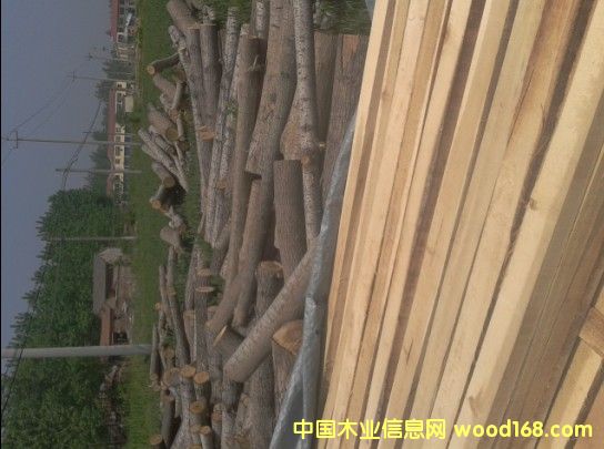 �c(di��n)���鿴��ľ�����ľ�l��ľ���Ŵ�DƬ