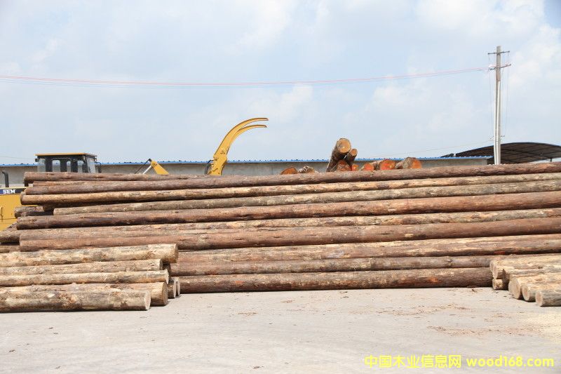 4的詳細(xì)介紹