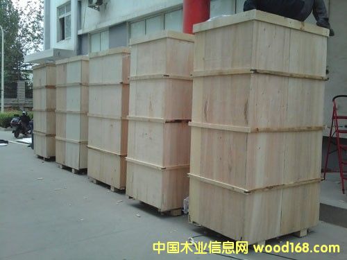 11的詳細(xì)介紹