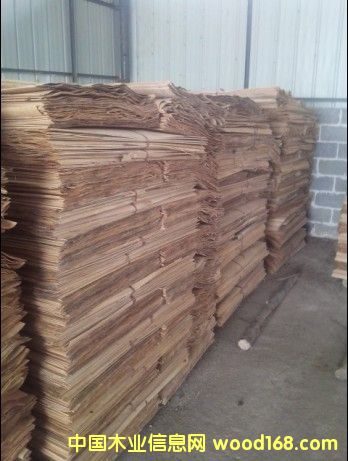 桉木單板的詳細(xì)介紹