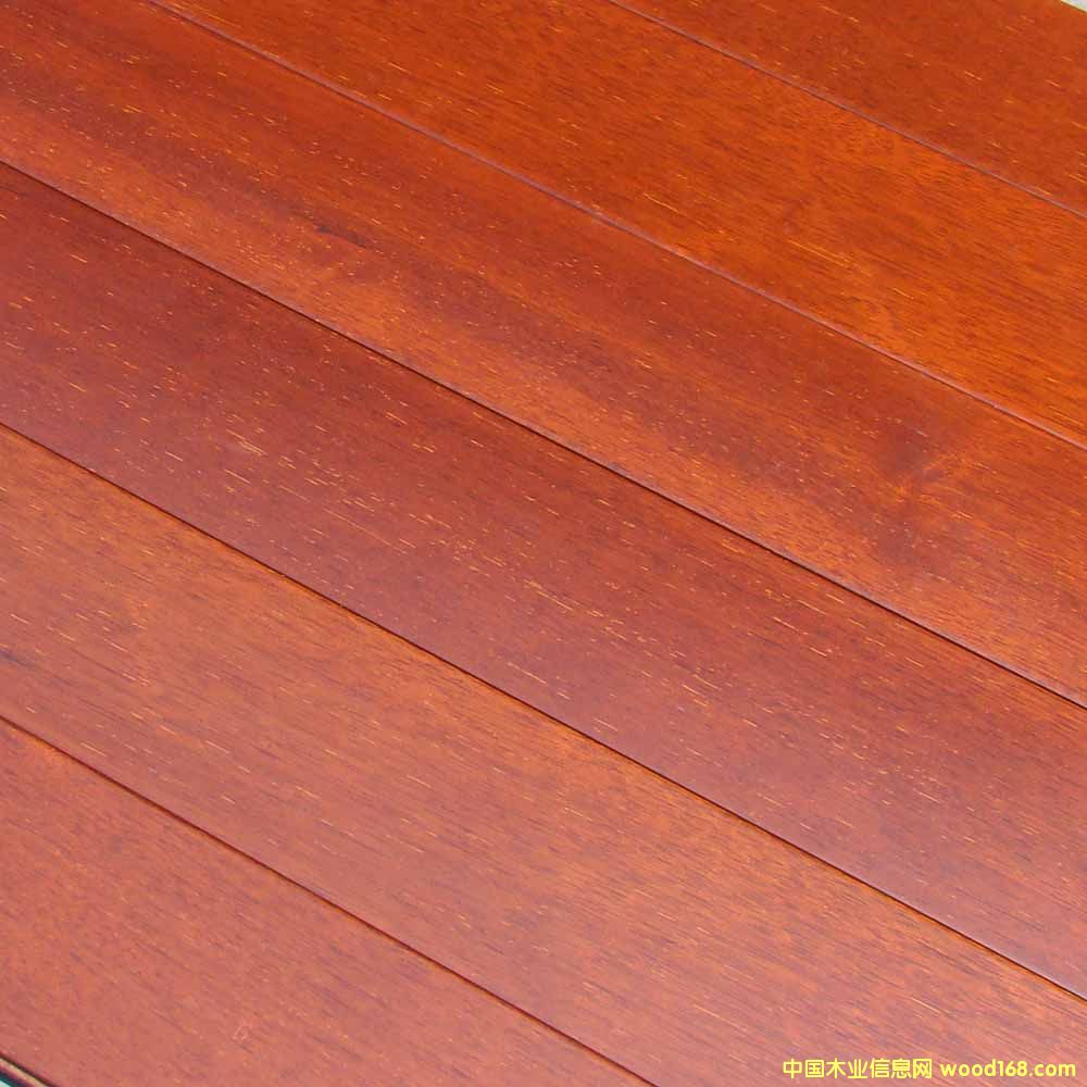 ӡ�Ფ�}���Ԕ��(x��)��B