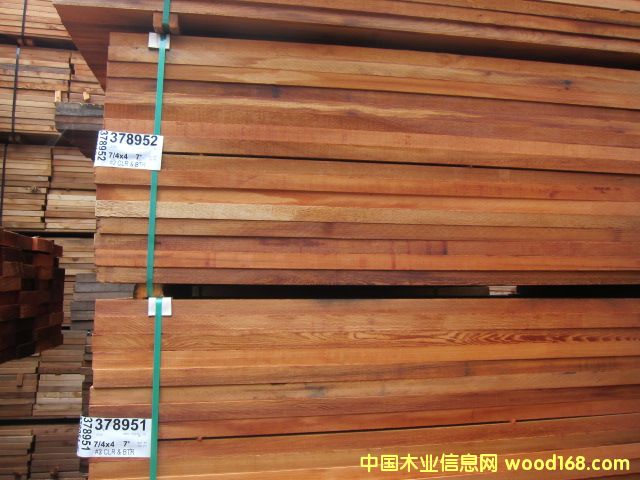 ɣ�ð�tѩ�����