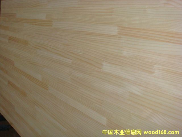 輻射松的詳細介紹