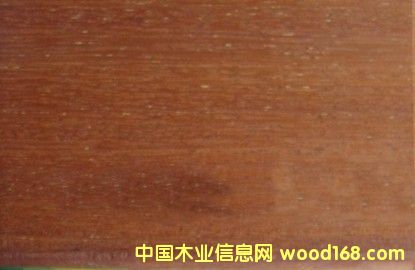 [��] ����(y��ng)���}�����ľ