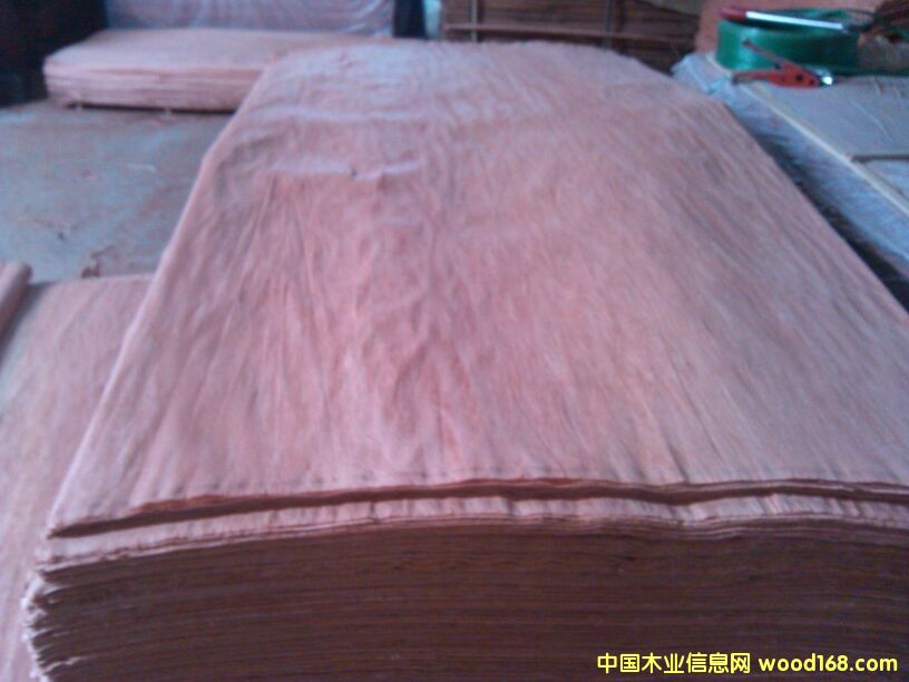 ���ǹ���Ƥ��Ԕ��(x��)��B