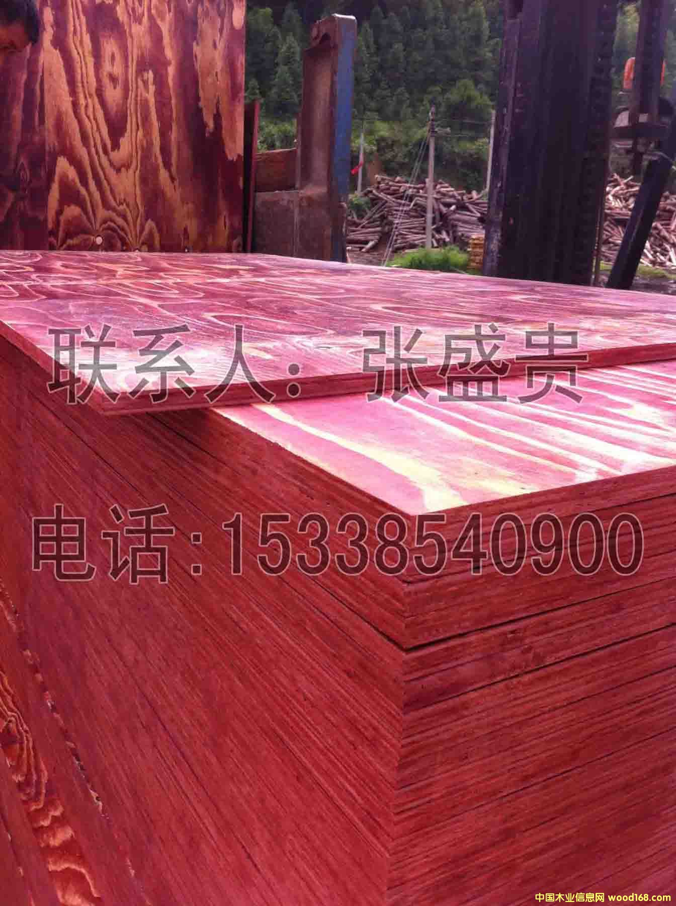 ȫ��ľ����ģ��1.6��