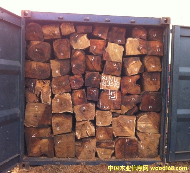 �����̴��Ԕ��(x��)��B