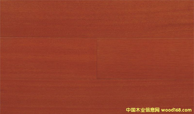 ɽ��ľ��Ԕ��(x��)��B