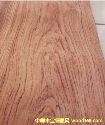 ��������ɽ�yľƤ