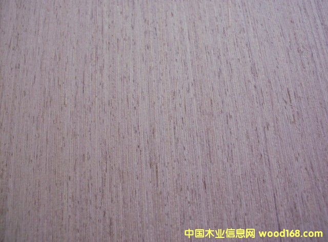 ����EV�y��ľƤ