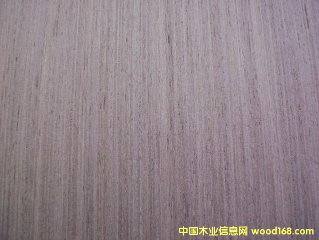 ����EV�y��ľƤ