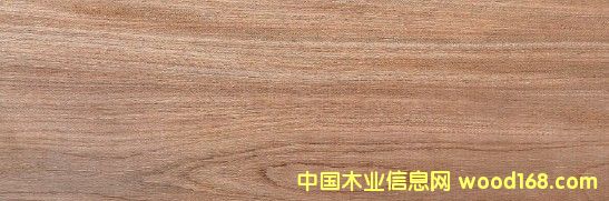 ������ľ��Ԕ��(x��)��B