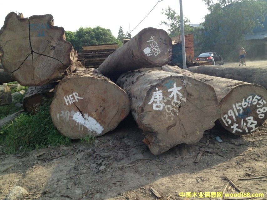 ��ľPM��Ԕ��(x��)��B