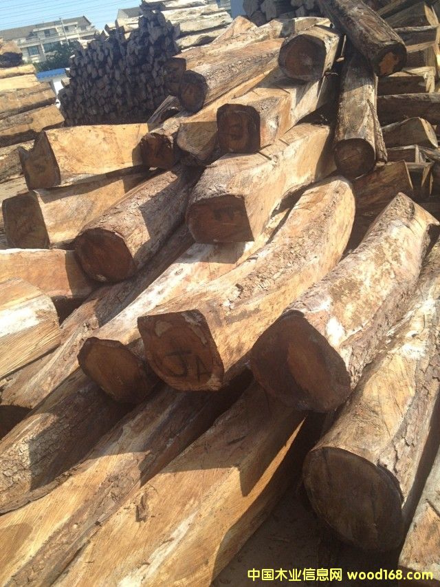 亞花梨的詳細(xì)介紹