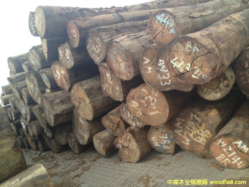 阿摩棟的詳細(xì)介紹