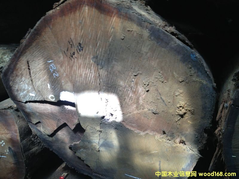 奧古曼的詳細(xì)介紹