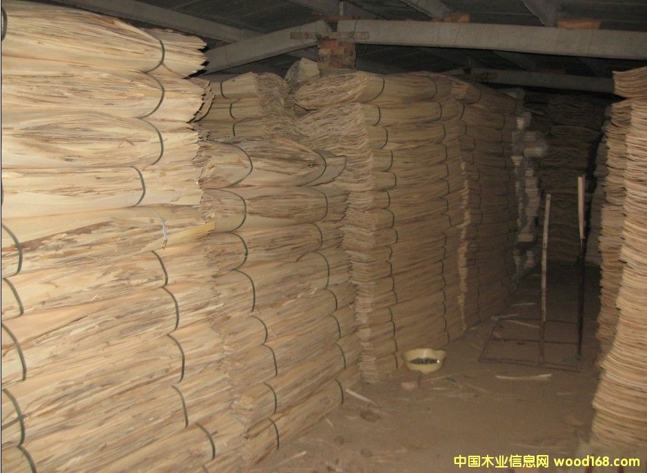 ����ľƤ��Ԕ��(x��)��B