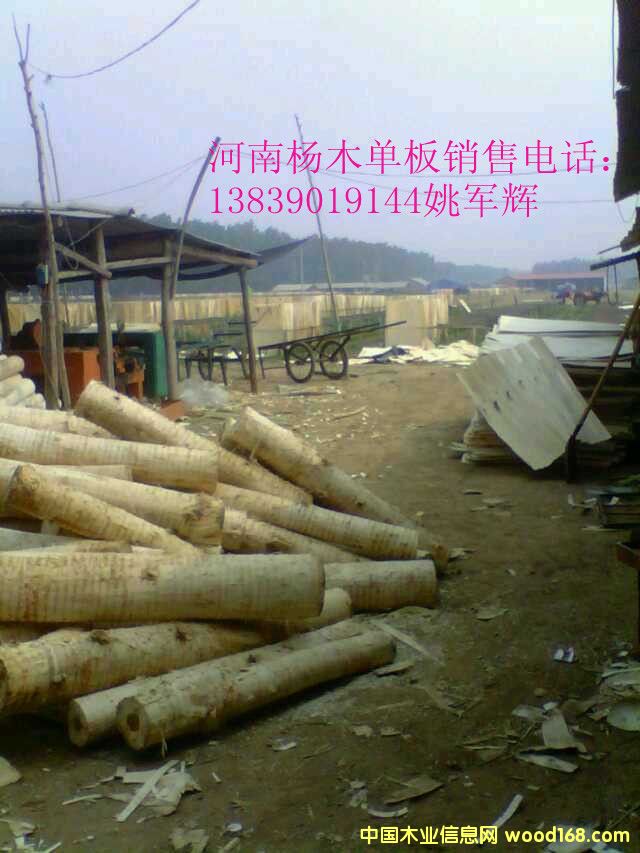 �ΰ�-��ľƤ�ӵ�Ԕ��(x��)��B