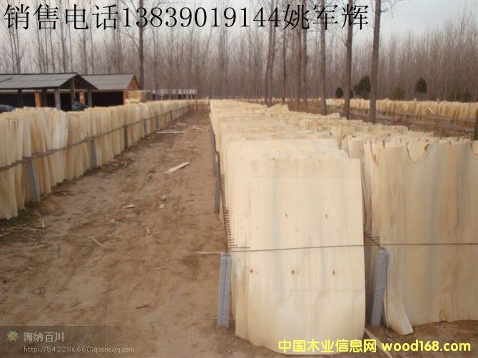 ��ľ�ΰ�۳��h��Ԕ��(x��)��B