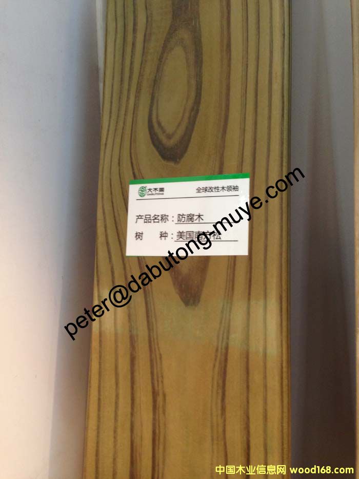 ACQ/CCA ����ľ