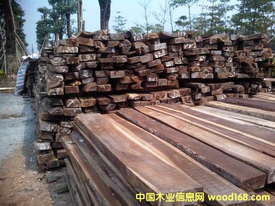 ���޴�t��֦��Ԕ��(x��)��B