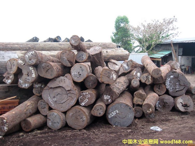 ��̴Ƥ��ԭľ��Ԕ��(x��)��B