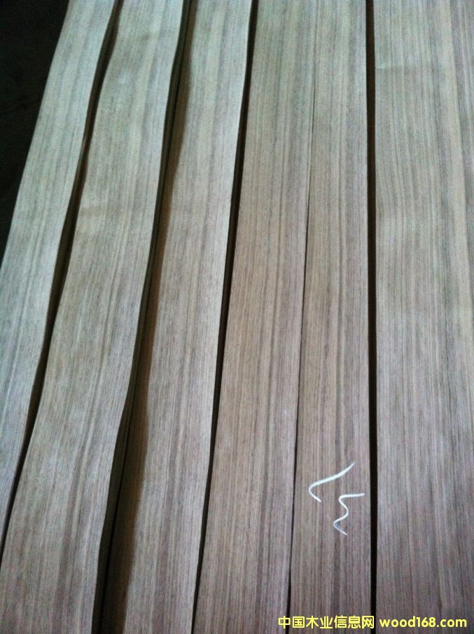 �����ں���ľƤ��Ԕ����B