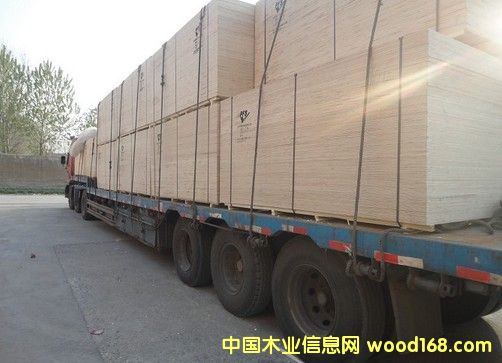 Ư�ח�ľ�z�ϰ��Ԕ��(x��)��B