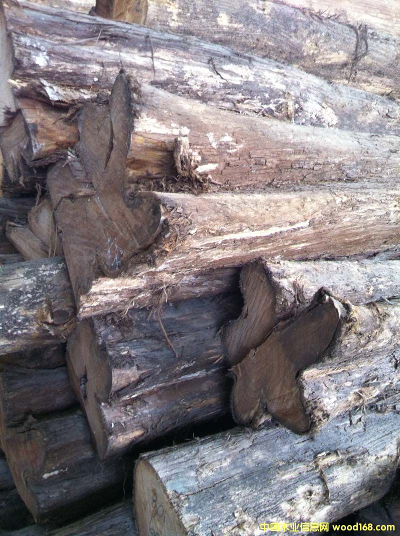 ��˹�_(d��)���������ľԭľ��Ԕ��(x��)��B