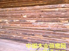 [��] ���_˹������