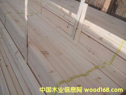 ���ɺ�ɗl��Ԕ����B