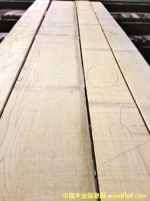 白橡的詳細(xì)介紹