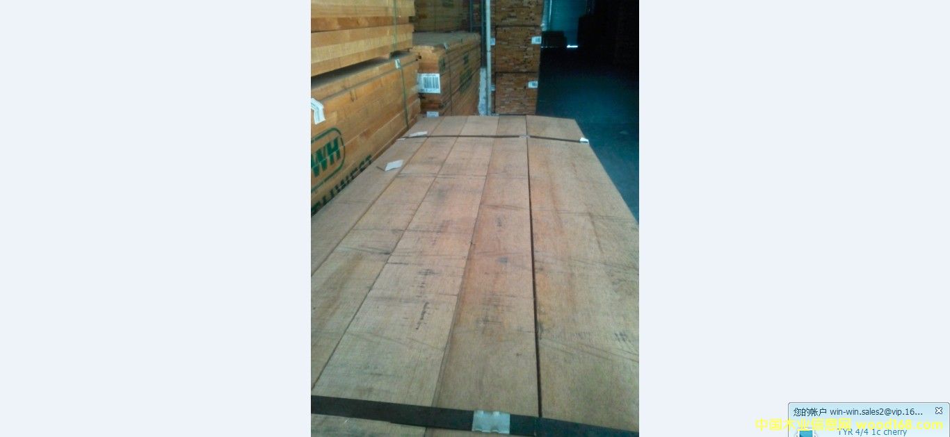 紅橡的詳細(xì)介紹