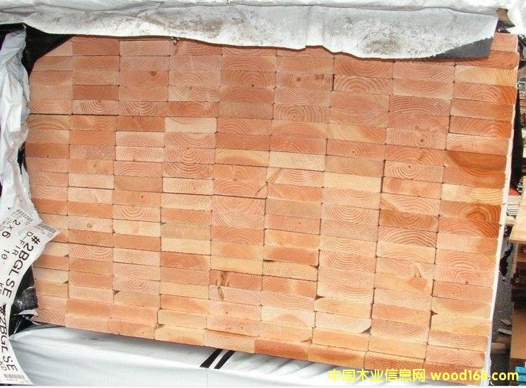 ������/���/����ľ��Ԕ��(x��)��B