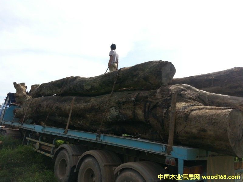 �ϓ뻨���Ԕ����B