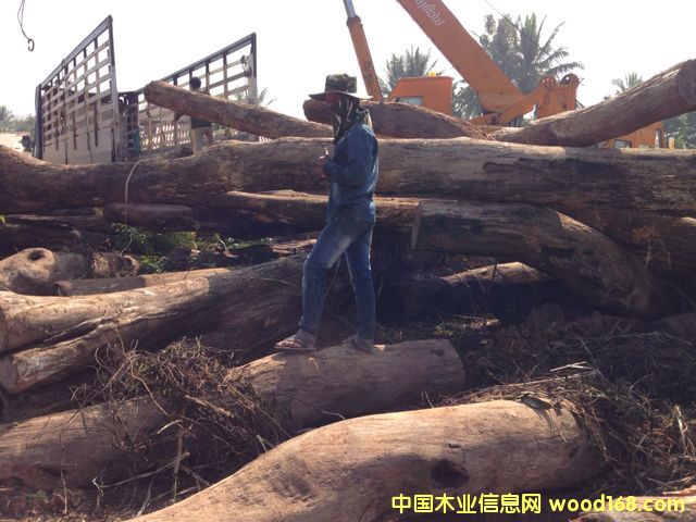 �ϓ뻨���Ԕ����B