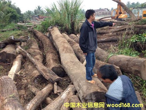 �ϓ뻨���Ԕ����B