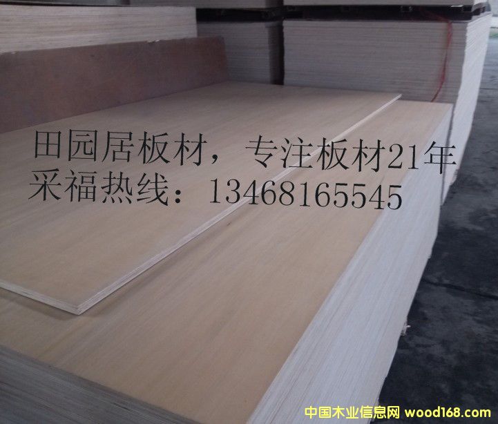 ��ľ���b�� ľ�|(zh��)�бP�� ���ڌ���